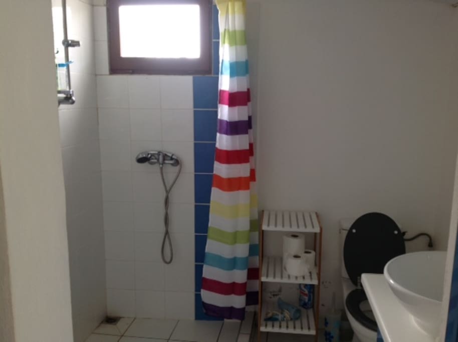 La salle de bains avec douche, lavabo et WC