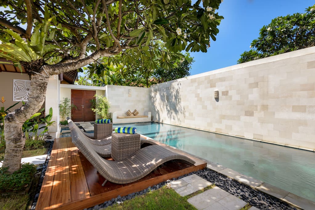 Pool with sunlounges and daybed