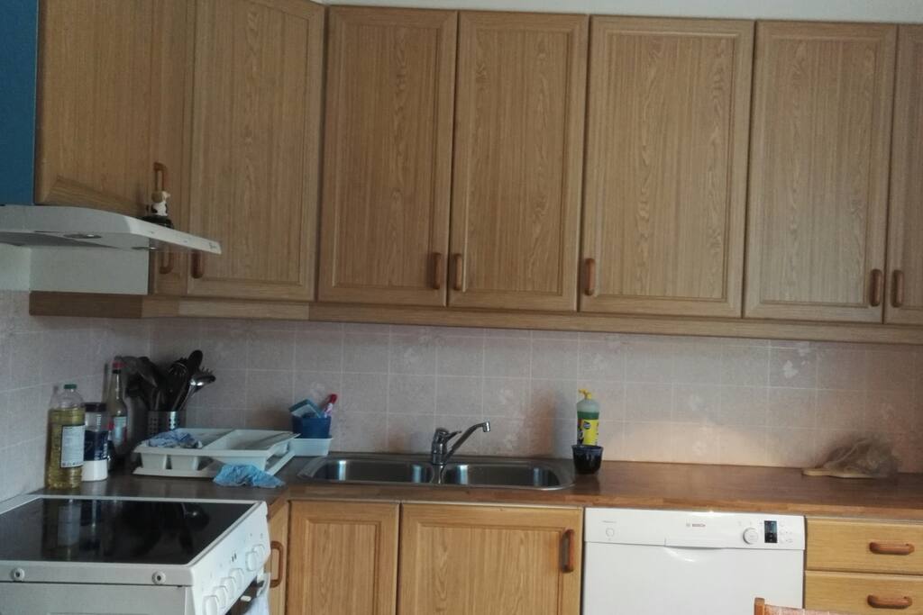 Fully equipped kitchen with fridge, micro, electric oven, dishwasher.