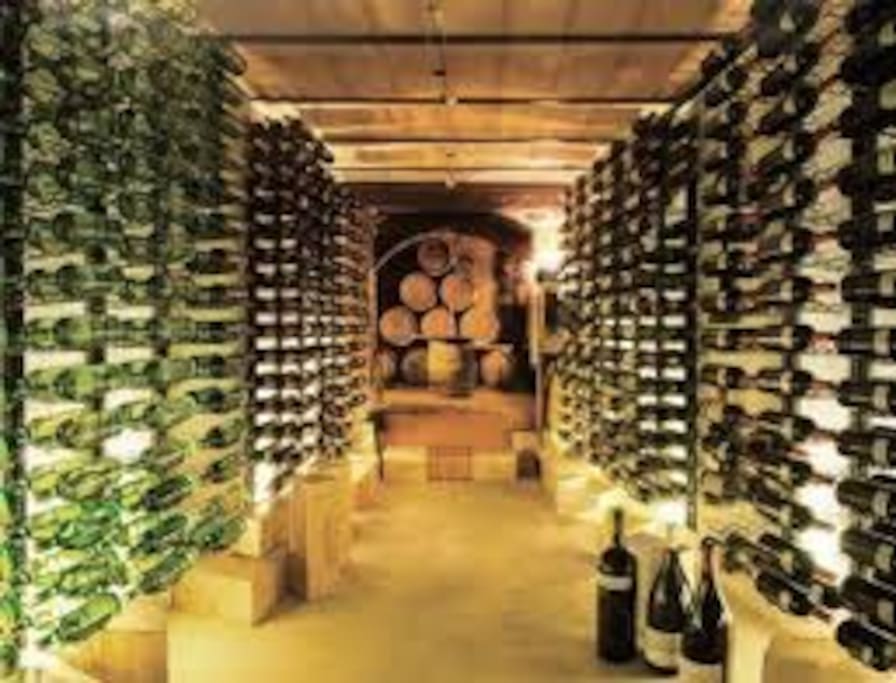 Wine Cellar