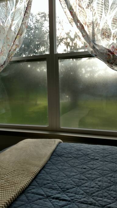Peaceful mornings.