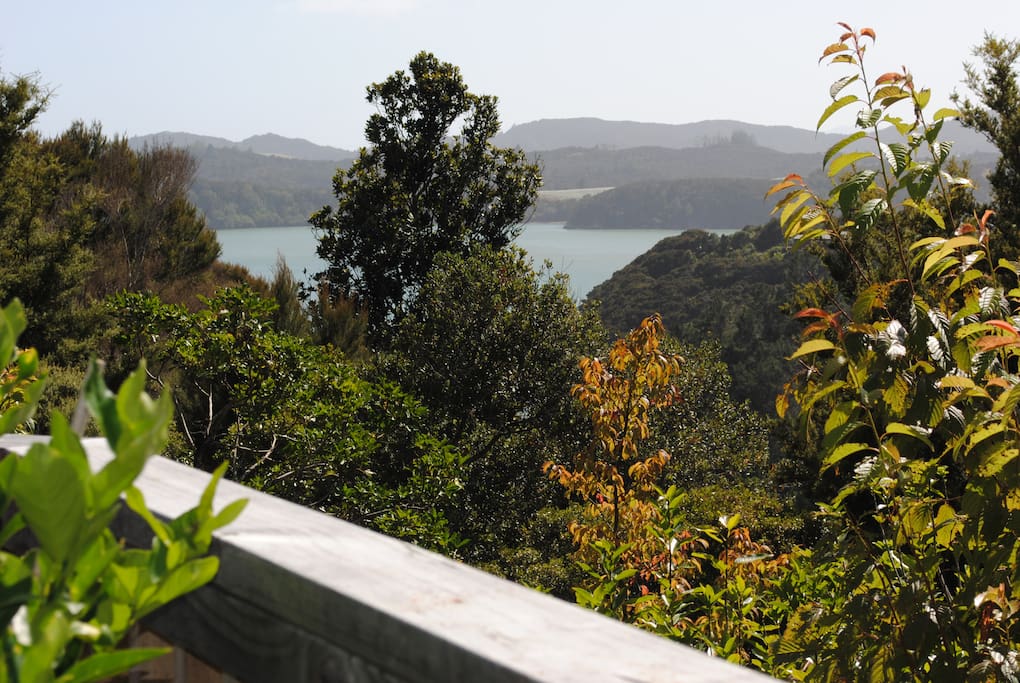 View from the deck.