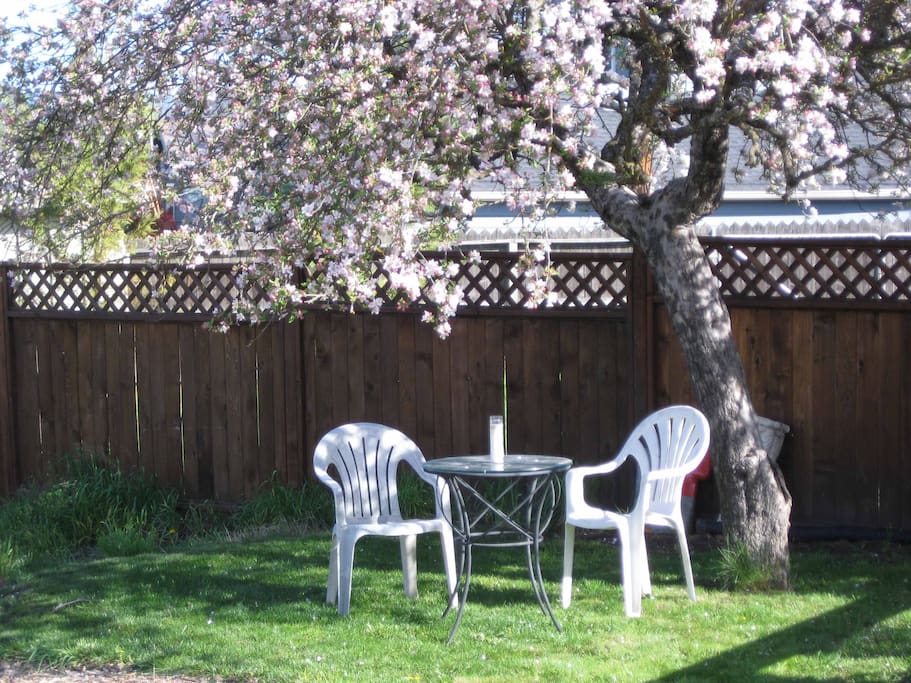 Spend pleasant moments under the always shady apple tree at Chakra Garden of Ashland.