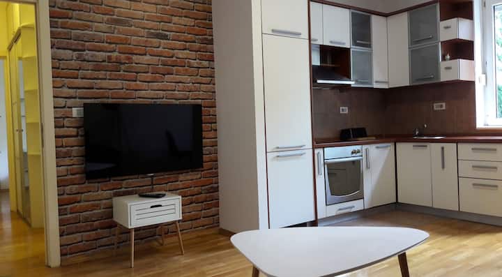 Heart of Downtown Apartment