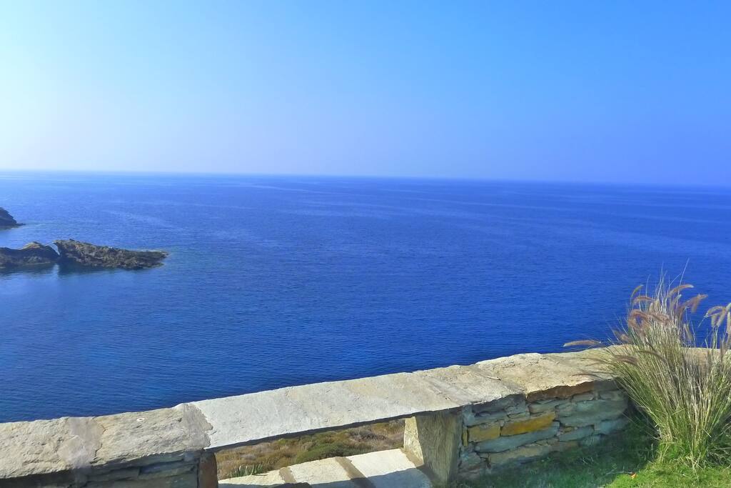 view from pool