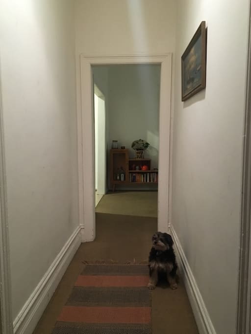 This is the entrance hall. Bedrooms are off to each side. (Dog will not be at the residence during your stay.)