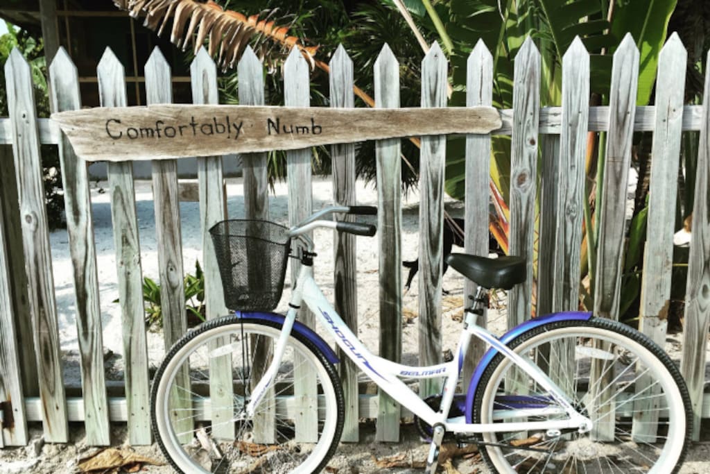cruise to town on our bikes