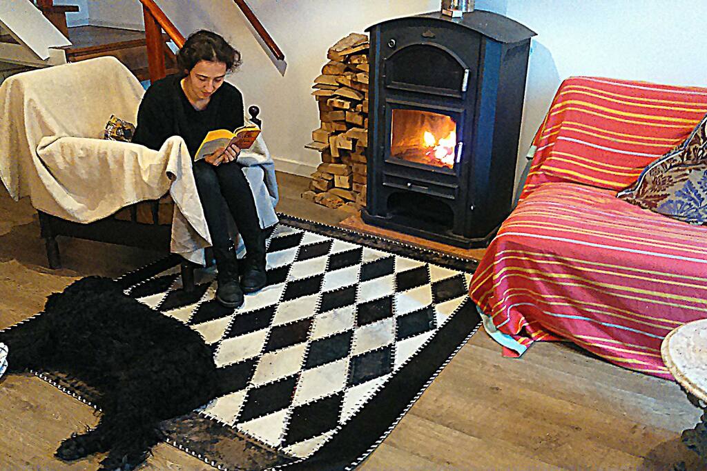 Dom Quixote and Elisabetta by the fire.