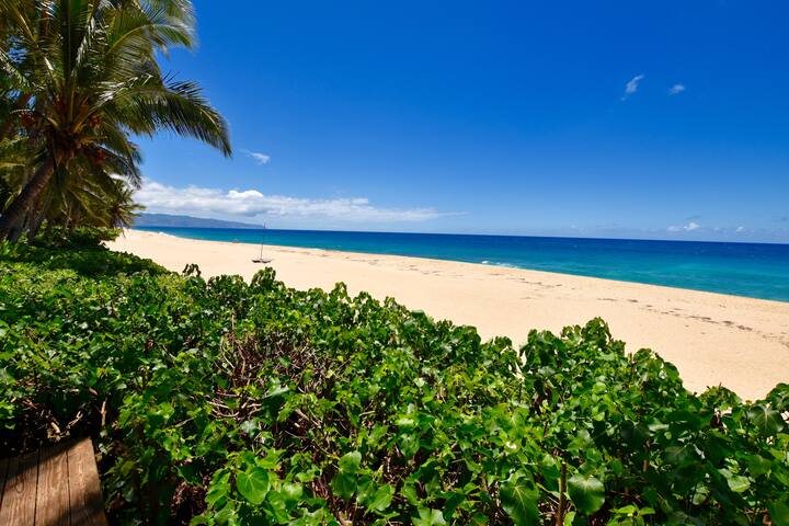 Pipeline Beachfront House that Sleeps 12 Guest. gallery image 2