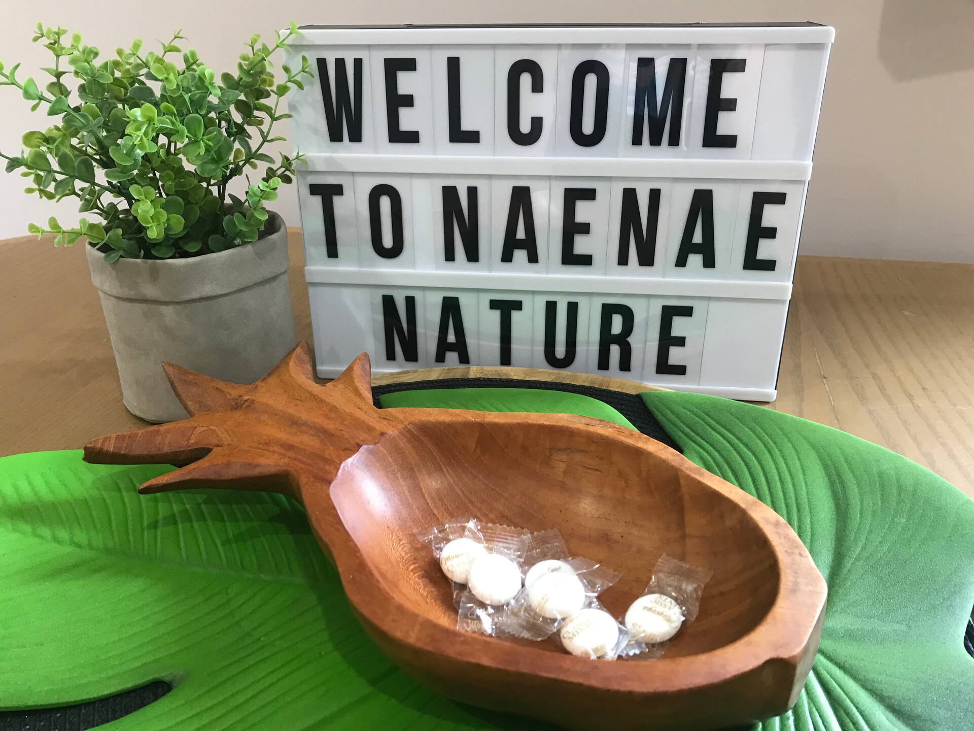 Naenae Nature With bush views