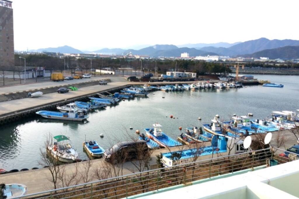 신호동 선착장