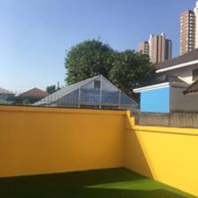 green backyard