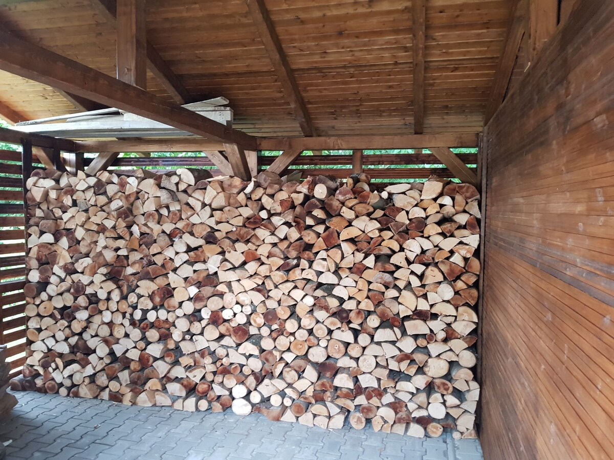 A spacious wood storage area is presented, featuring neatly stacked logs against a wooden wall. The structure's roof and open design provide protection for the firewood. Natural light filters in, highlighting the texture of the wooden beams and the organized arrangement of the logs.