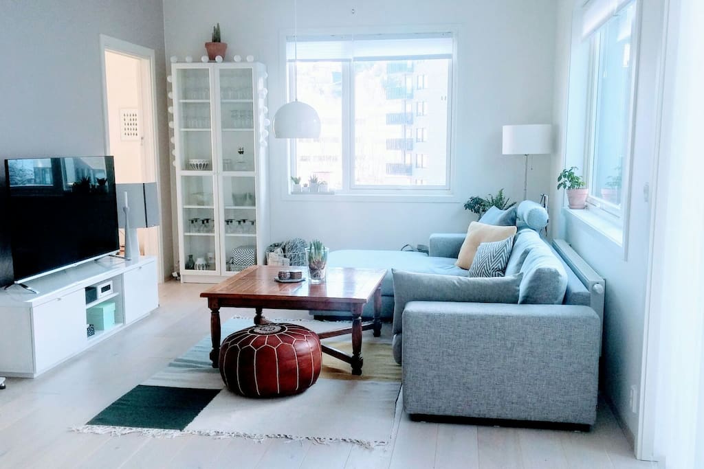 Living room with Scandinavian design interior