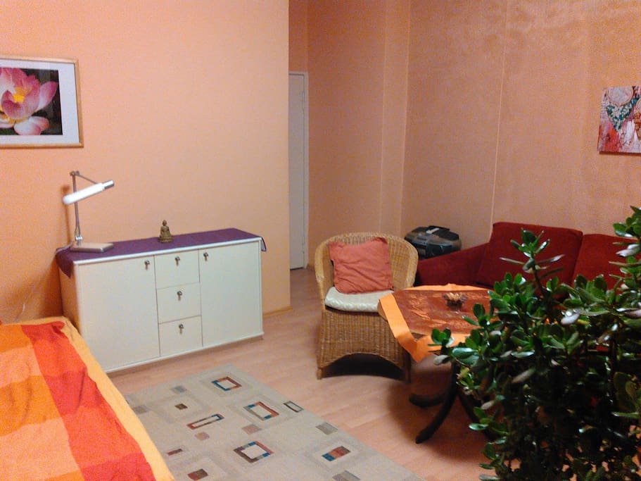 Wohn-und Schlafzimmer
