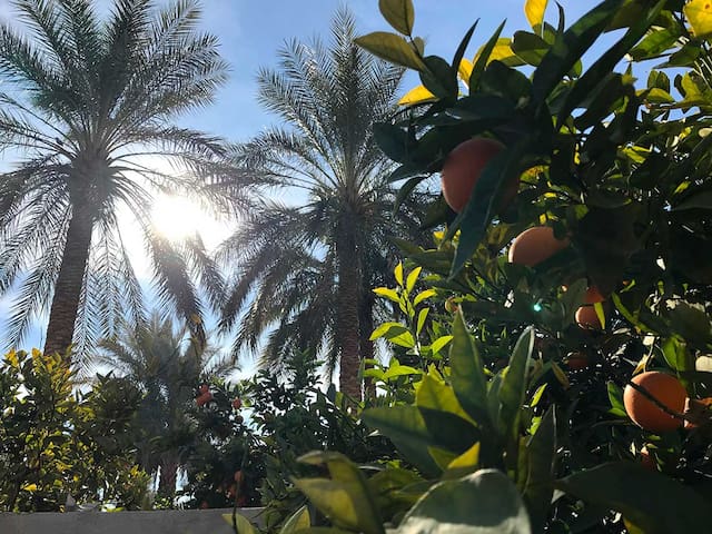 Le repos a l'état pure