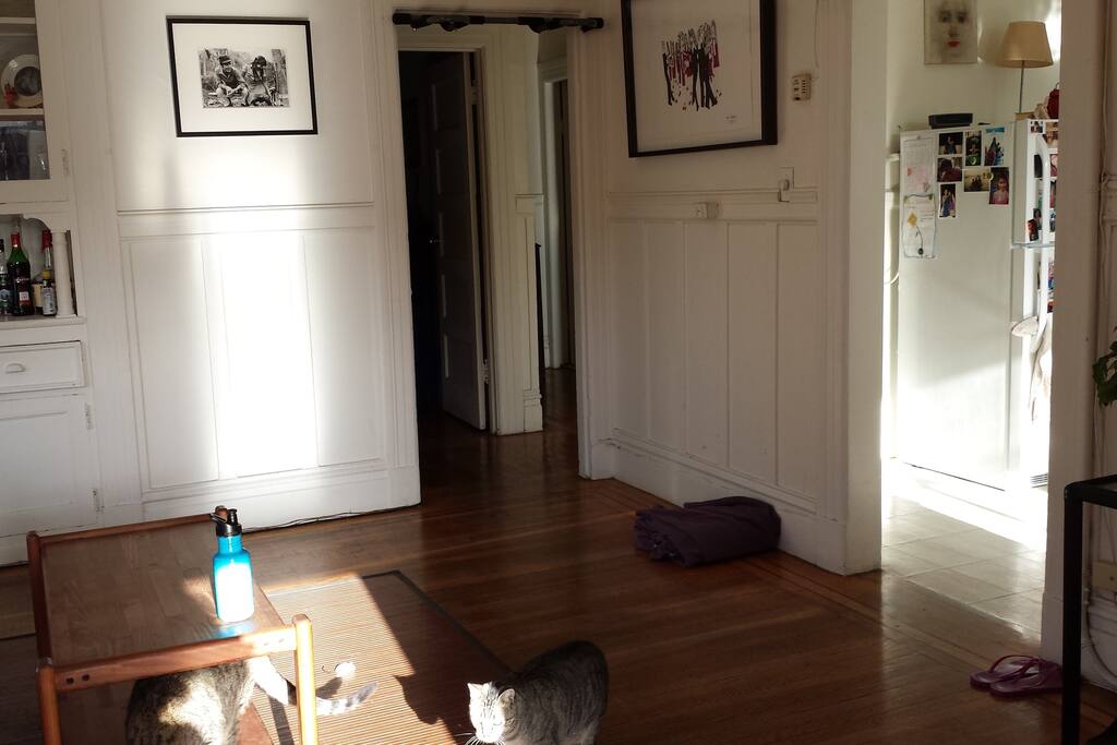 Living room (another view)