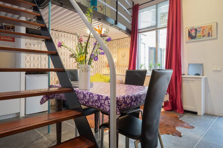 Minihouse historic centre + garden