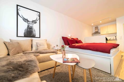 Top performing Airbnb: Black Forest break 1 Titisee & High Black ForestCard in Titisee Neustadt