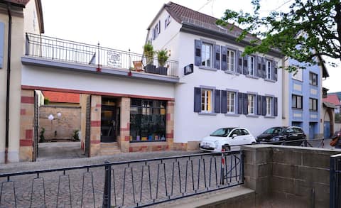 Spacious apartment with terrace in Deidesheim