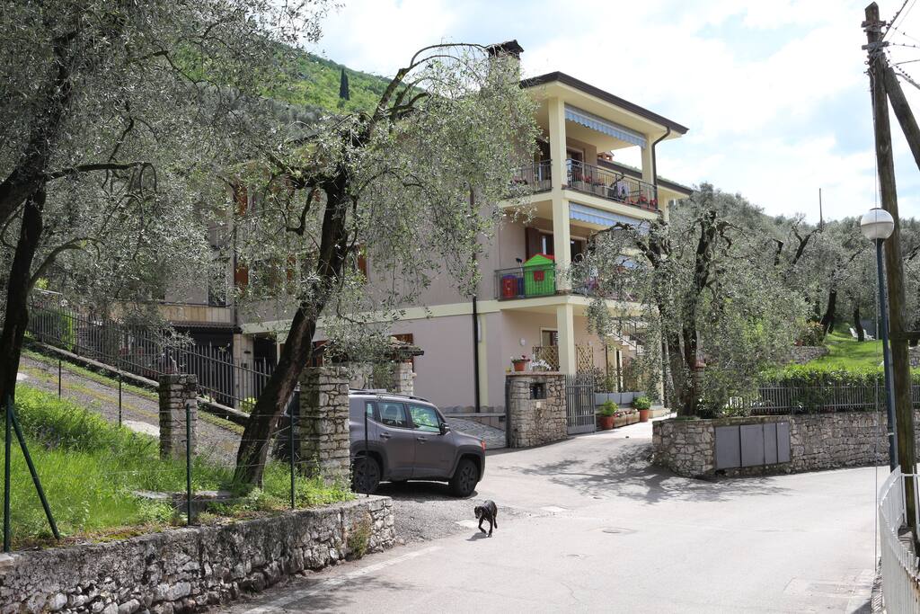Foto Panoramica