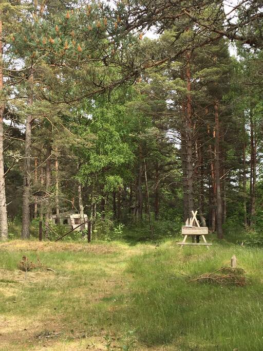 Entrance to our 5000 m2 camping.