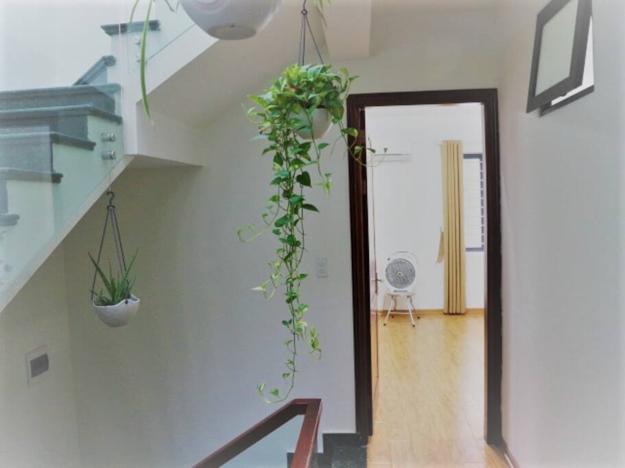 from outside looking into