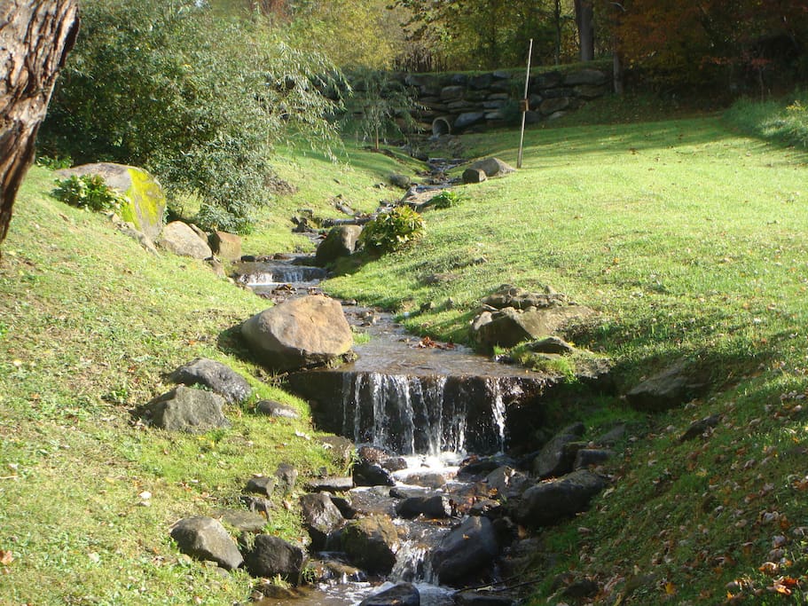 Beautiful little creek off deck of back