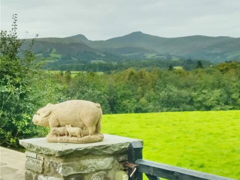Llanfrynach Home with a View