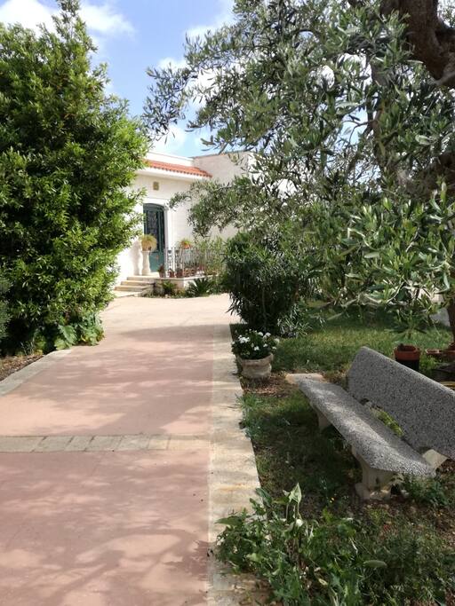 vialetto ingresso