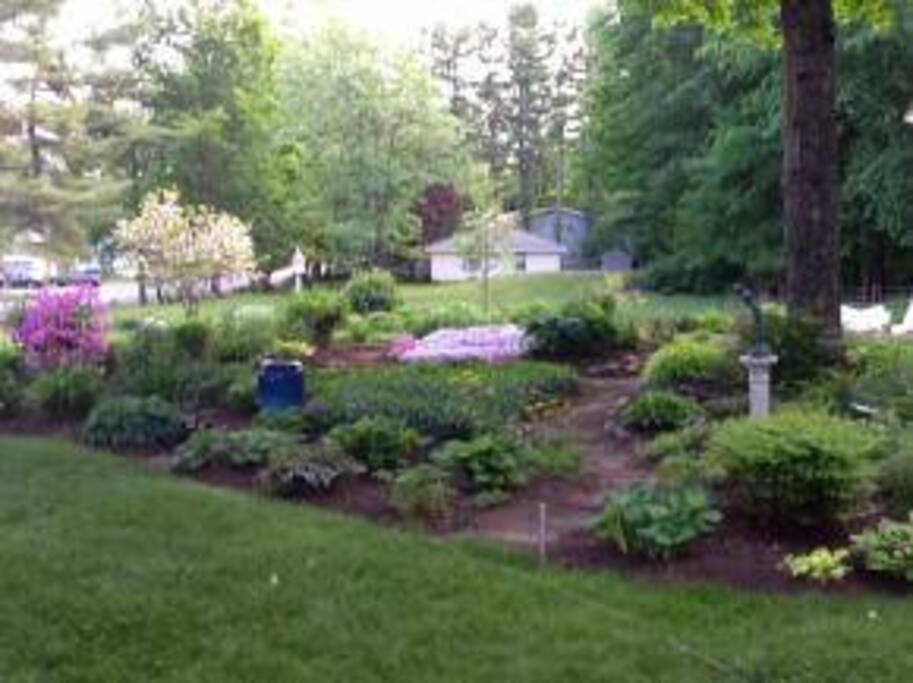 Very pleasant setting.