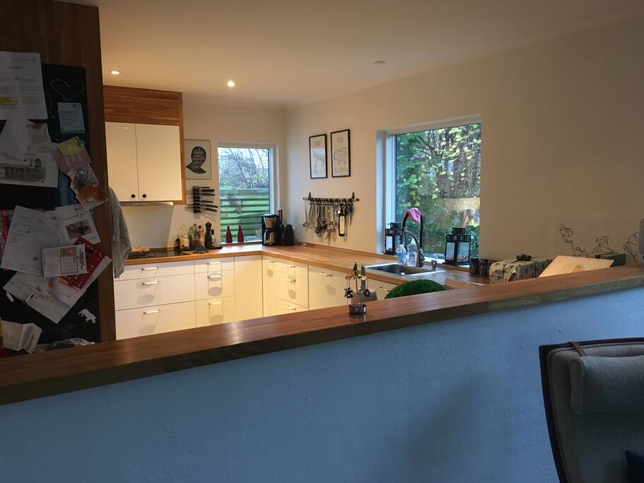 Open kitchen and living room with plenty of space