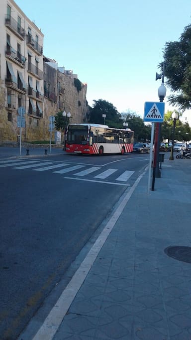 transporte publico -- bus