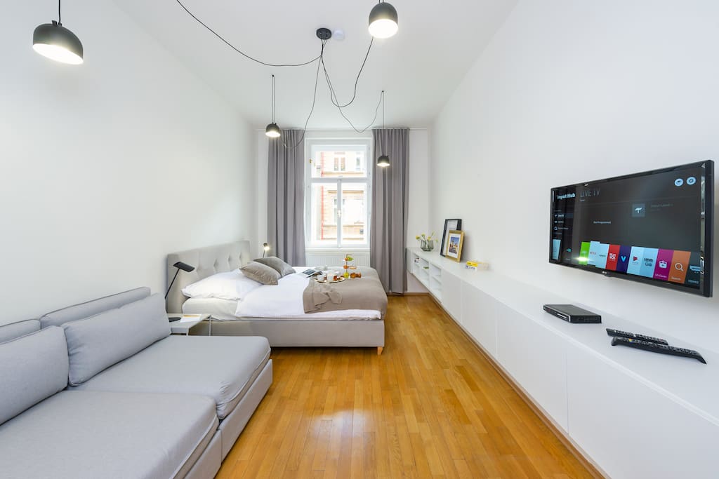 Deluxe spacious apartment with king size bed and sofa