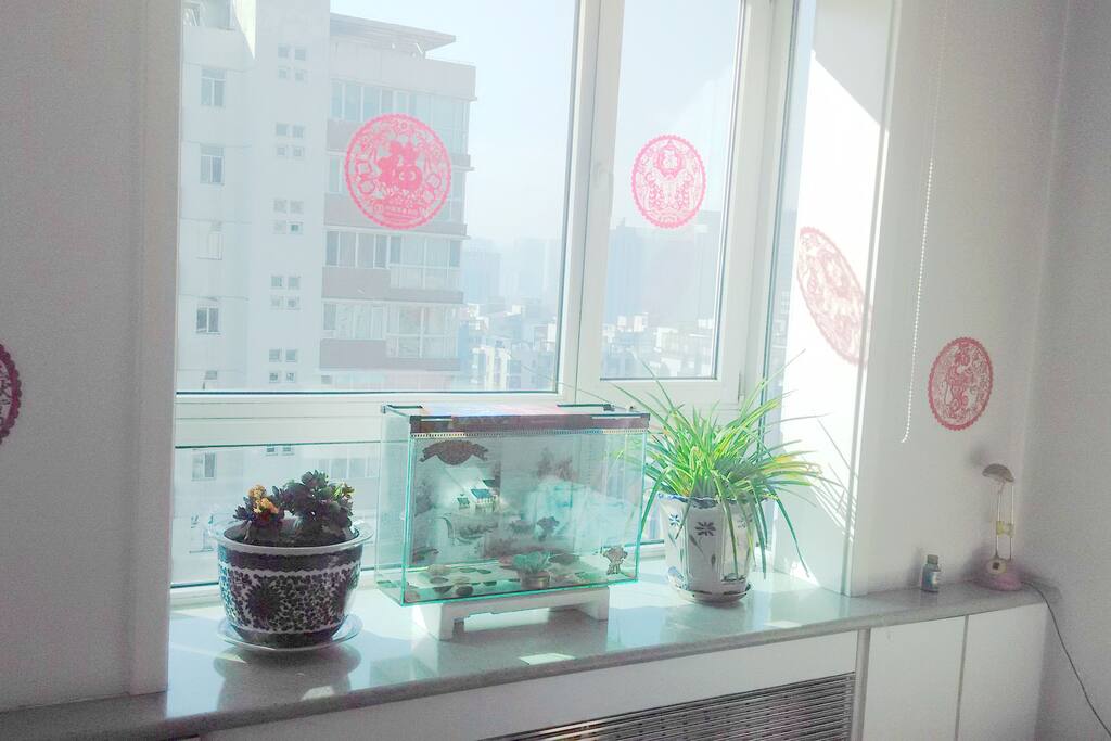 窗台
