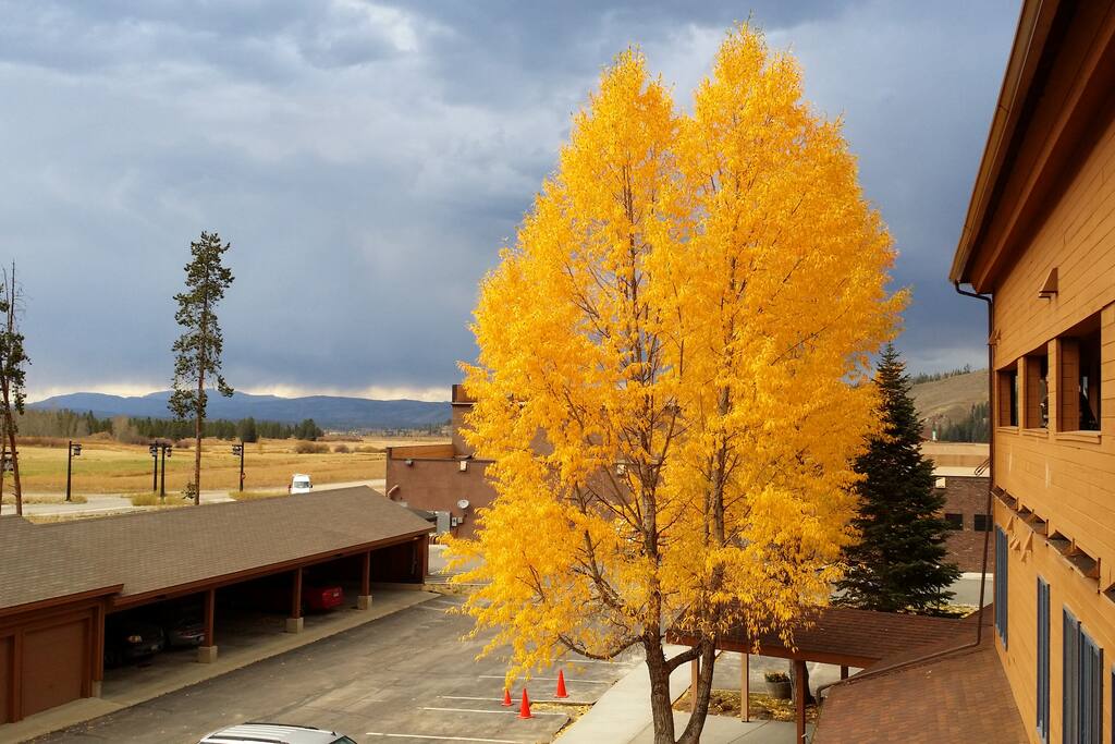 View of Cozen's Meadow/Grand Park in Fall from front door. Disk golf courses, trails and summer rain in the distance.