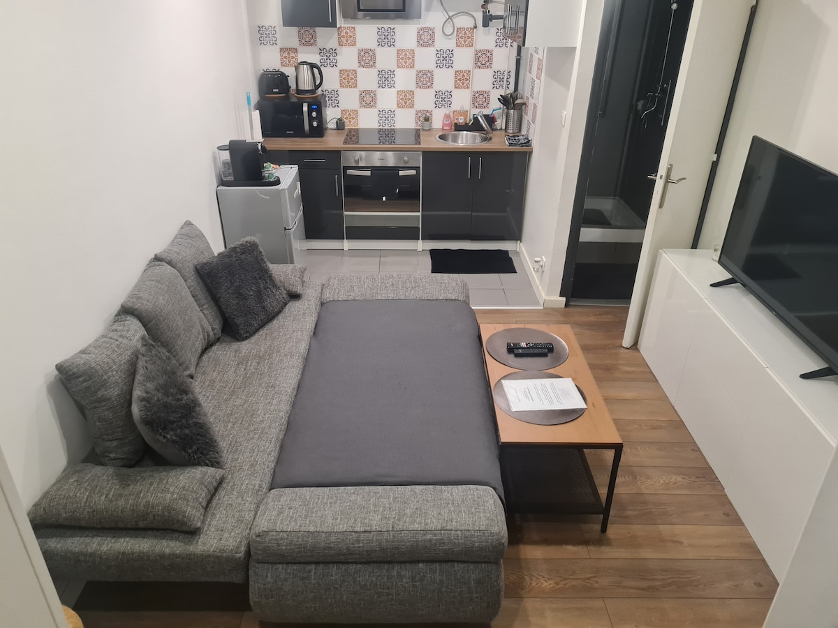 A modern studio features a compact kitchen area with patterned backsplash tiles and essential appliances, including a coffee machine. A spacious gray sofa bed and a small coffee table are situated in the living area, complemented by minimalistic furniture and wooden flooring.
