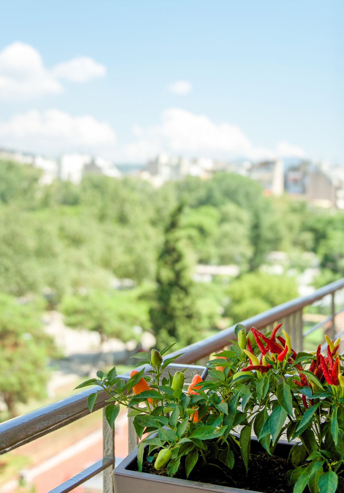 A balcony railing is adorned with vibrant potted plants featuring red and green peppers. In the background, a lush landscape punctuated by trees and distant city buildings is visible under a clear blue sky, creating a sense of openness and tranquility.