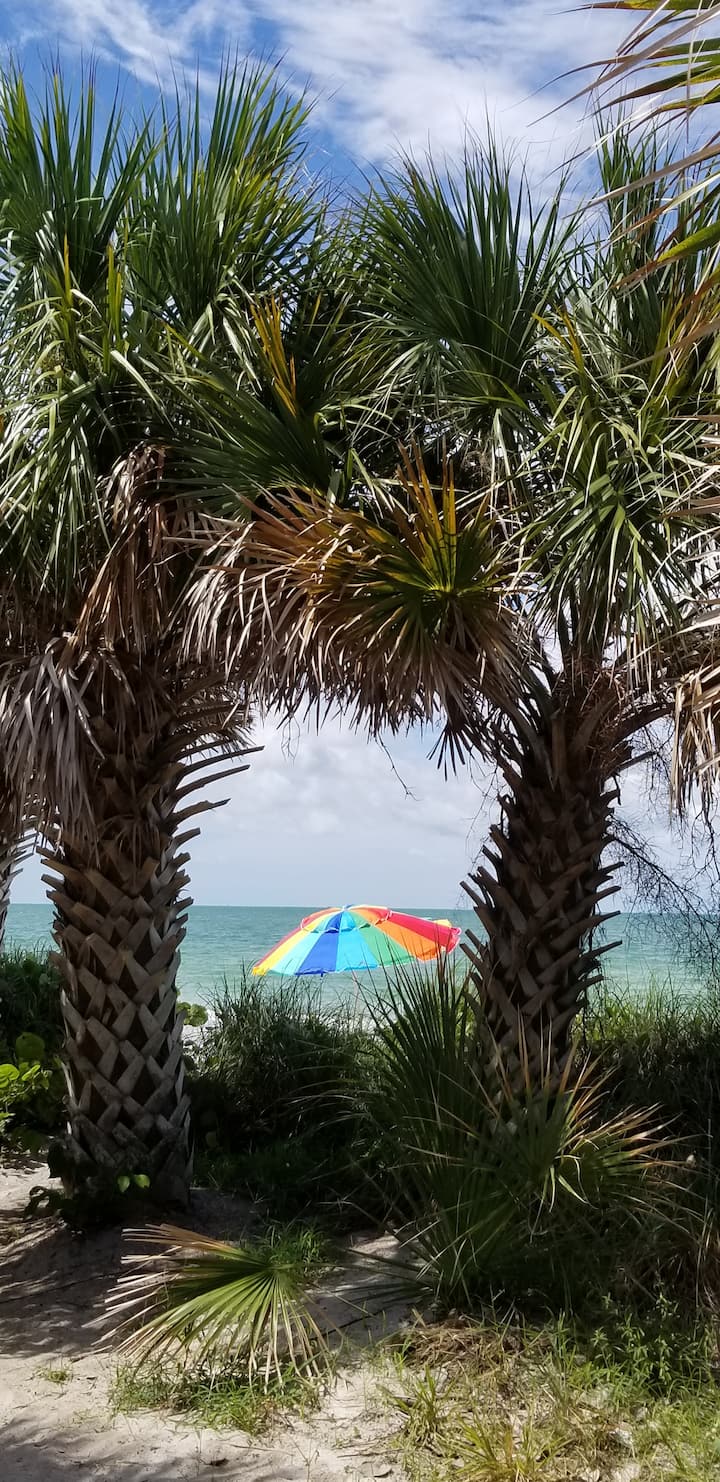 Top 10 PetFriendly Airbnbs Near Longboat Key, Florida Updated 2024