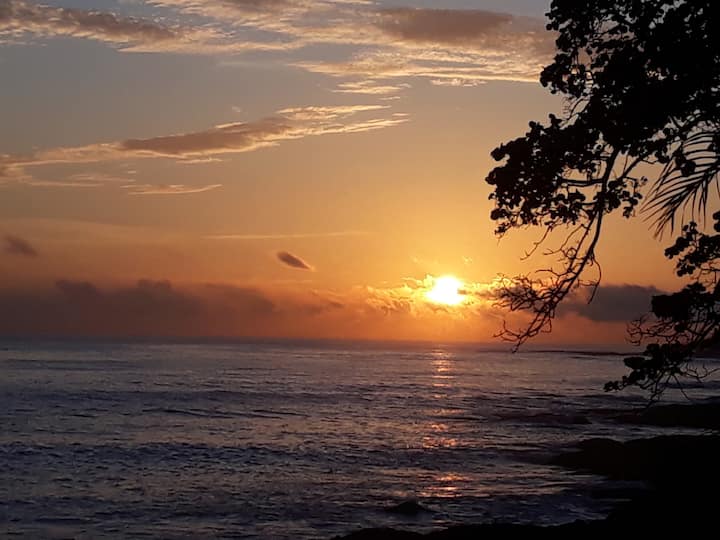 Limon Vacation Rentals & Homes Limón Province, Costa Rica Airbnb