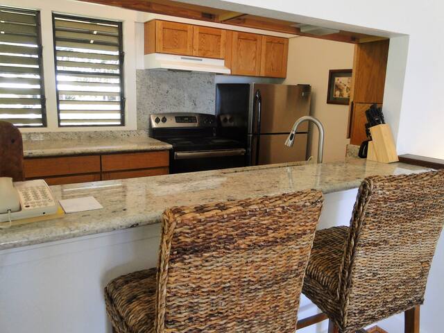 NEW A/C UNITS IN BEDROOMS -OCEAN VIEW-2 Bdrm/2Bath gallery image 5