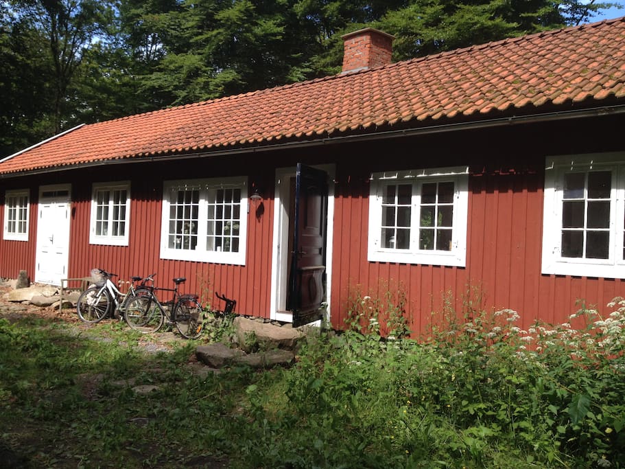 The house - main entrances