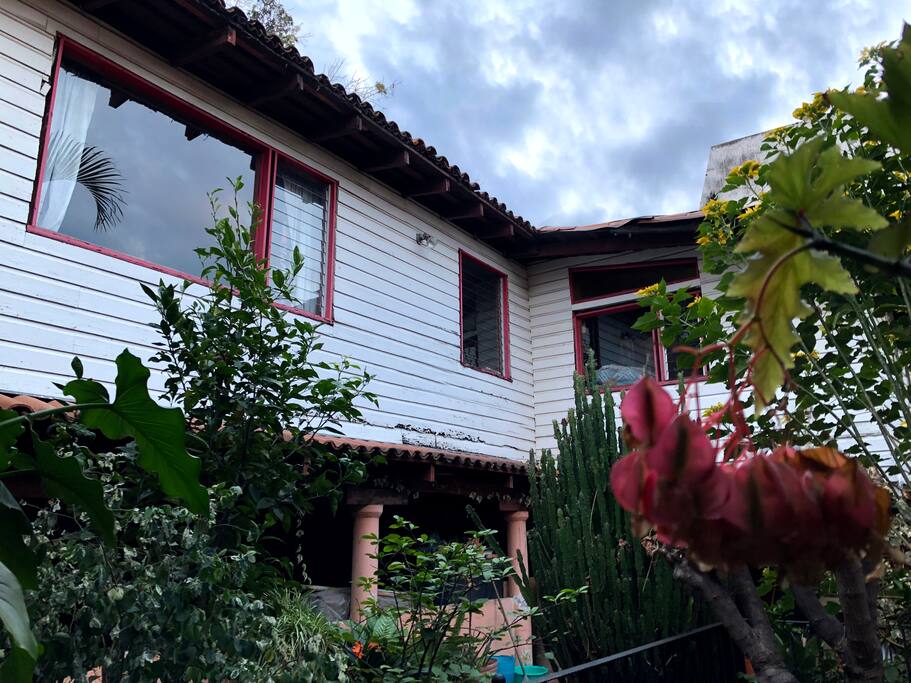 Back patio
Patio trasero