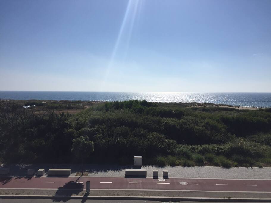 As vistas de mar/the seaviews