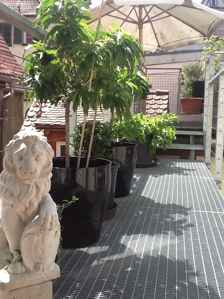 Tübingen Vacation Rentals & Homes BadenWürttemberg, Germany Airbnb