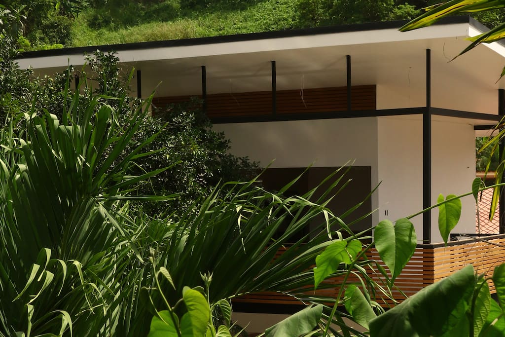 Villa Cacao Suite Santa Teresa | Garden view with pool