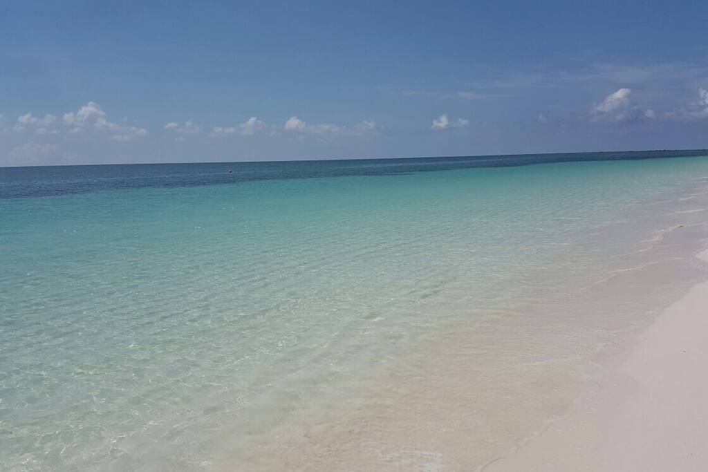 dating freeport bahamas Metrodatecom welcomes freeport, bahamas to our singles service by using the comprehensive singles resources provided by our safe and easy-to-use website, your chance of dating success will be better than you ever expected. dating freeport bahamas Metrodatecom welcomes freeport, bahamas to our singles service by using the comprehensive singles resources provided by our safe and easy-to-use website, your chance of dating success will be better than you ever expected.