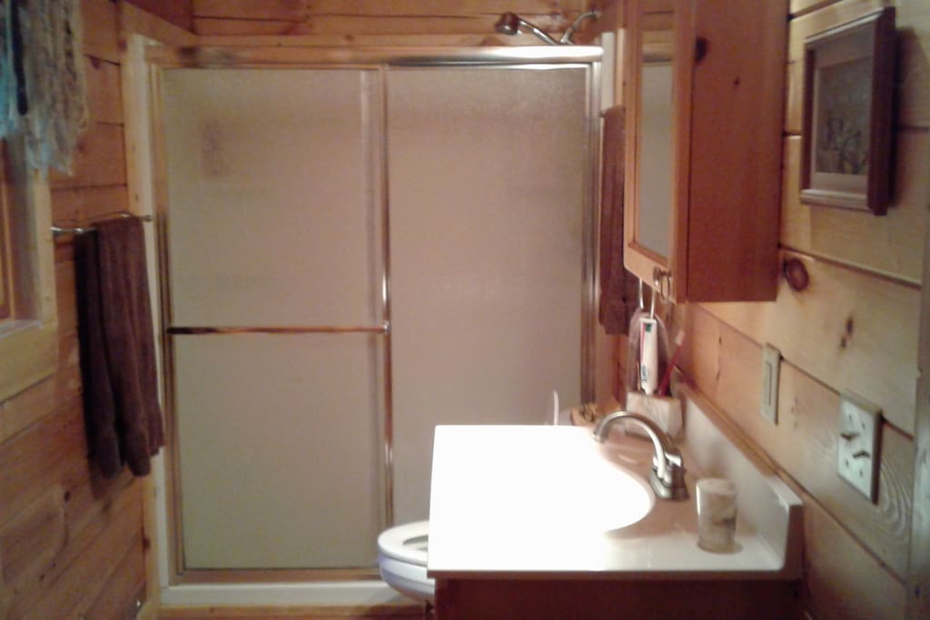 Guest bath