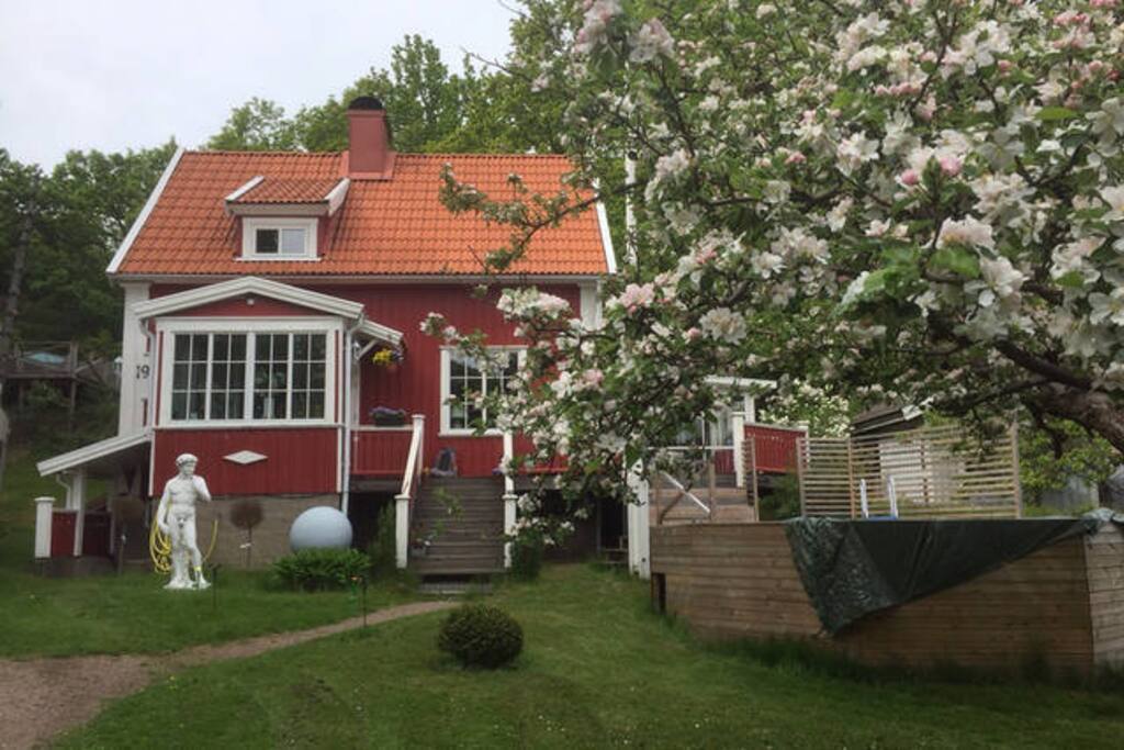 The house with blooming Apple Trees.