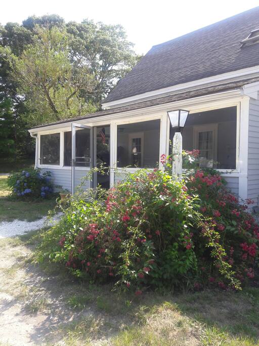 view on the porch from the street
